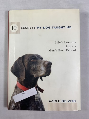 Secrets dog taught me - 10,