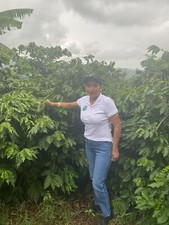 KENYA KARANI CHICCHI DI CAFFÈ