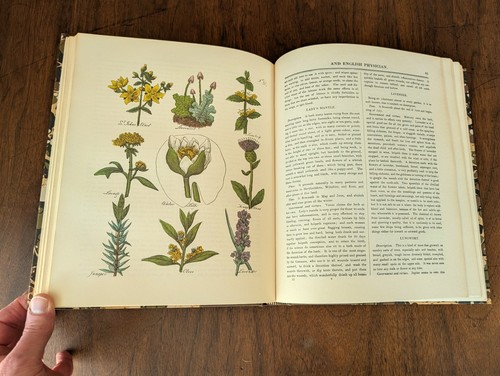Rare 1826 fac culpeper - rare, culpeper’s