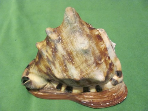 King helmet shell - helmet,