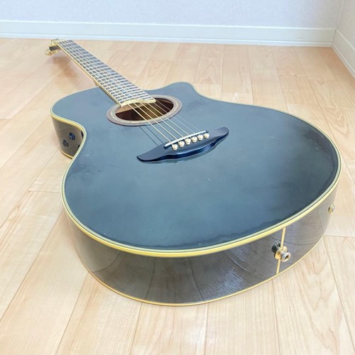 Chitarra elettrica acustica
