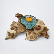 Vaso Su Legno Di Radice