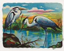 55/215 Immagine da Collezione