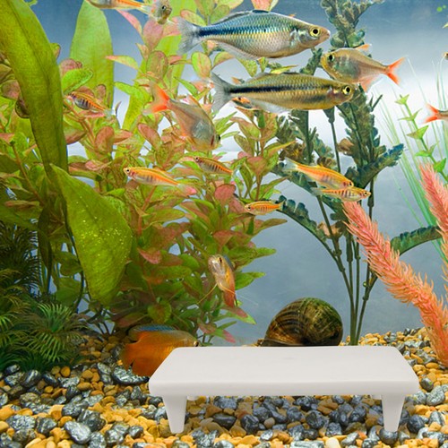 Accessori per acquario - ,