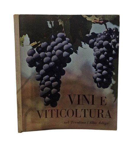 Vini viticoltura nel - e,