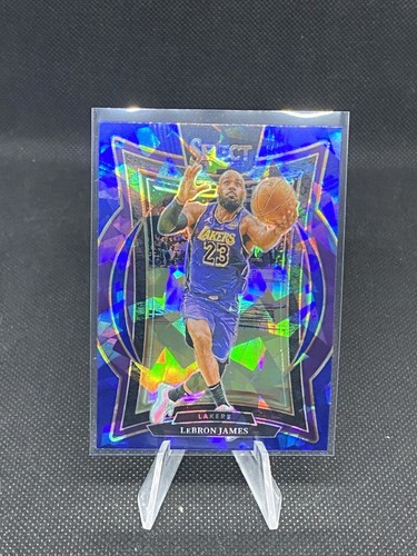 2024 panini seleziona - 2024-25,