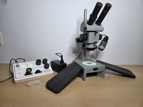 Microscopio stereo