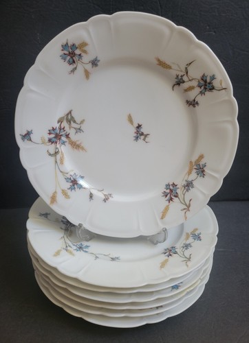 Set haviland limoges - 7,