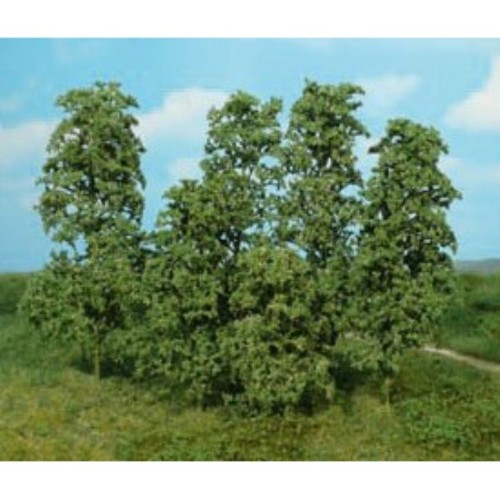 Heki 1642 alberi naturali