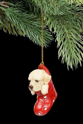 Natale cane labrador in - natale,