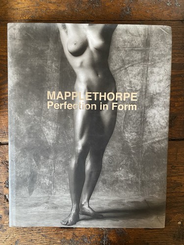 Mapplethorpe robert perfection - robert,