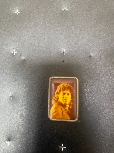 Pin pins chanteur - pin's,