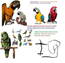 Pettorina pappagalli PER TUTTE