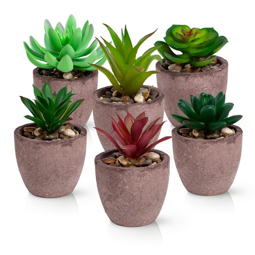 Pasch set piante - pasch®, di