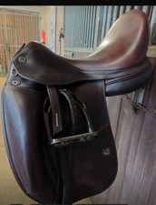 Prestige D2 17 pollici