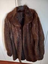 Pelliccia castorino spitz - pelliccia,