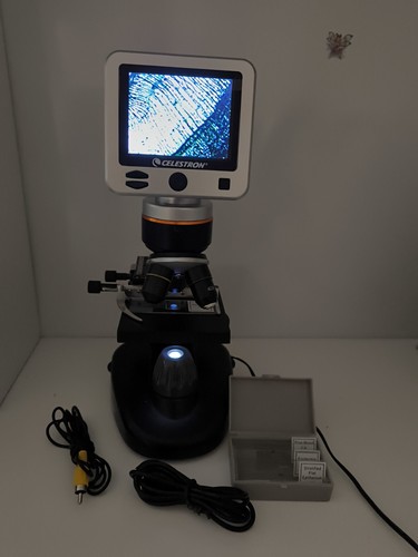 Celestron microscopio digitale
