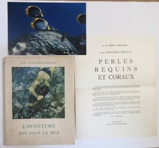 Dive Caccia Subacquea Guantone