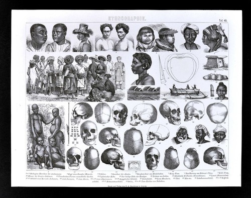 Stampa antropologia 1874 - antropologia,
