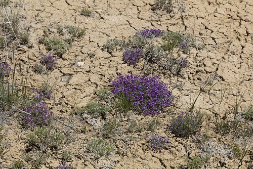 Foto carbon county wyoming - county,