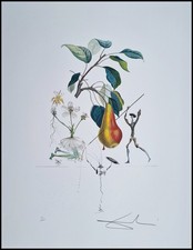Salvador dali don chisciotte - don,