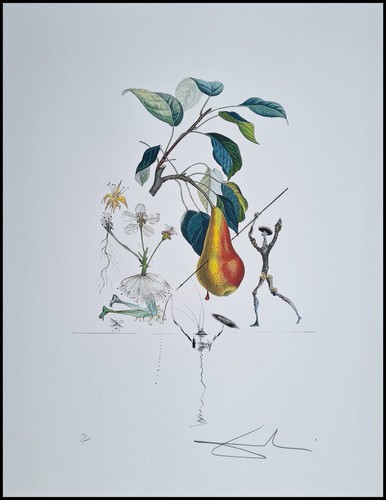 Salvador dali don chisciotte - salvador,