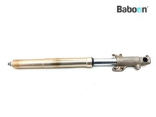 Gamba forcella anteriore