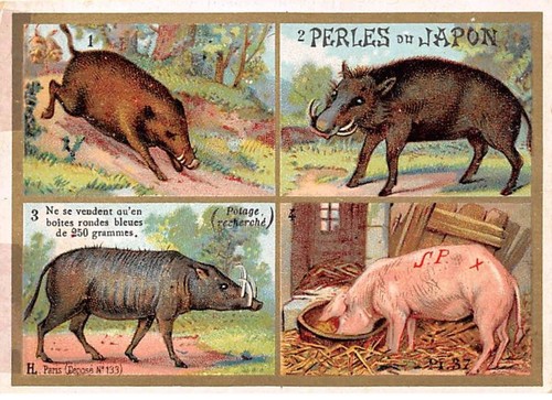 Carte cor12405 perle - -cor12405,