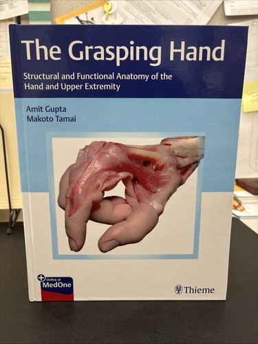 Grasping hand structural - structural, and
