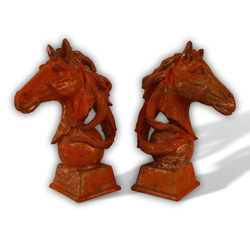 Testa cavallo coppia - testa, di