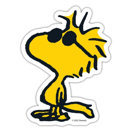 Peanuts woodstock occhiali - occhiali, da