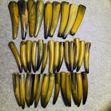 Corona vintage Sheffield