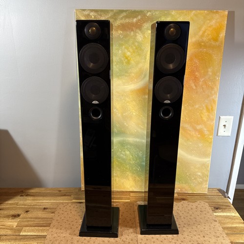 Monitor raggio audio 270 nero - raggio,