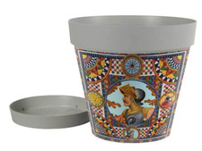 VASO PIANTE GRASSE FIORI SEMI