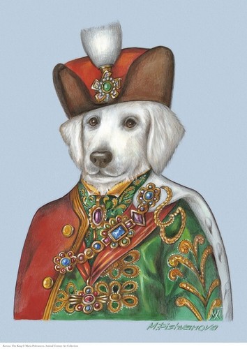 Kuvasz kunstdruck poster - a3,