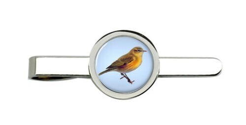 Chiffchaff fermacravatta - chiffchaff,