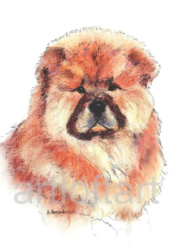 Chow cucciolo cane - cane, aceo
