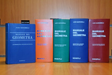 "MANUALE DEL GEOMETRA" Luigi