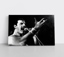 Stampa fotografica concerto Freddy Mercury QUEEN incorniciata tela arte parete musica rock star