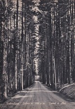 VALLOMBROSA - Saltino: Tunnel