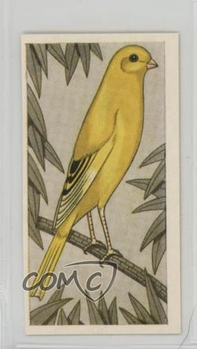 1960 barratt gabbia voliera - gabbia,