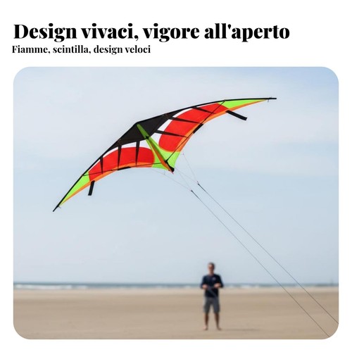 Aquilone acrobatico fili per - aquilone,