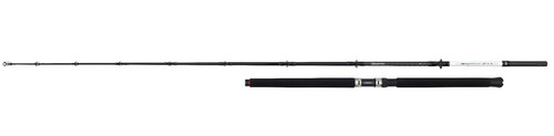 Canne pesca daiwa seahunter - da,