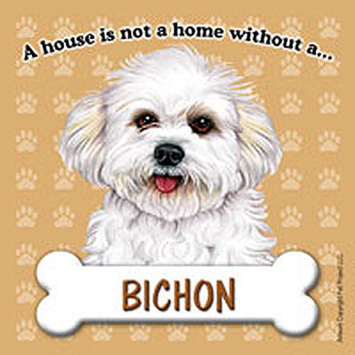 Magnete bichon frise la casa - bichon,