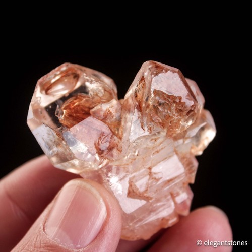 27g scheletrico elestiale - 27g,