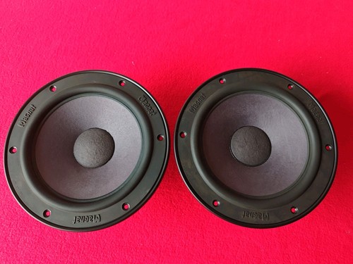 Due woofer magnat - due,
