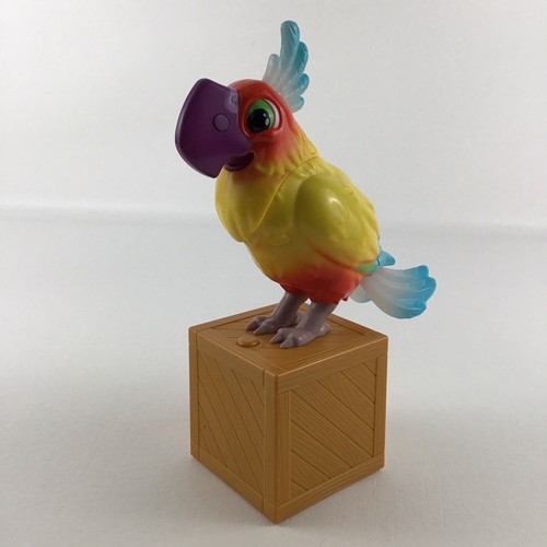 Koo pets - koo,