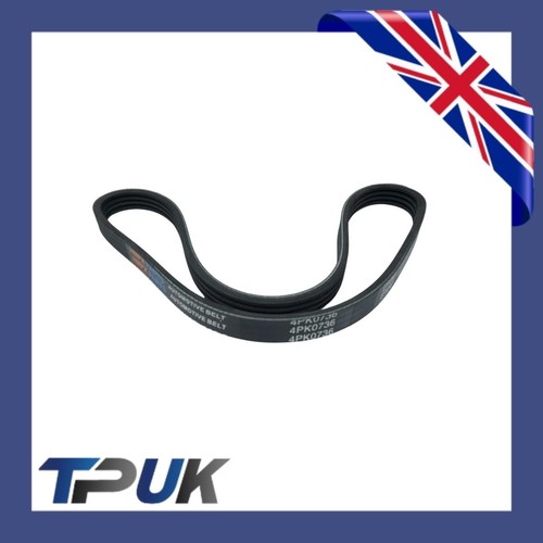 Cinghia del servosterzo jaguar - cinghia,