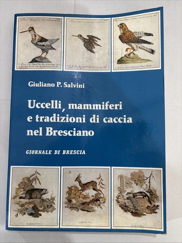 Uccelli mammiferi tradizioni - uccelli,