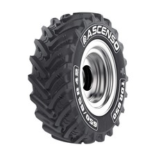 Gomme estive ascenso 540 - gomme,